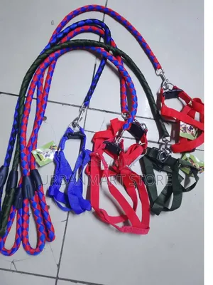 Dog Harness Leash 1.6 Meters