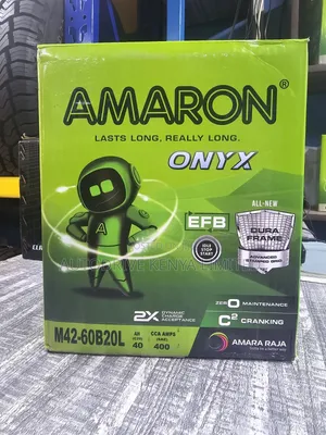 Ns40 Amaron Efb Start-Stop Battery