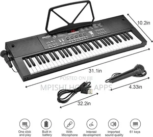 61pcs BIGFUN Keyboard Piano