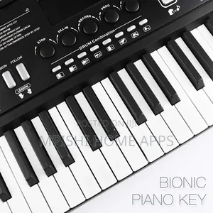 61pcs BIGFUN Keyboard Piano