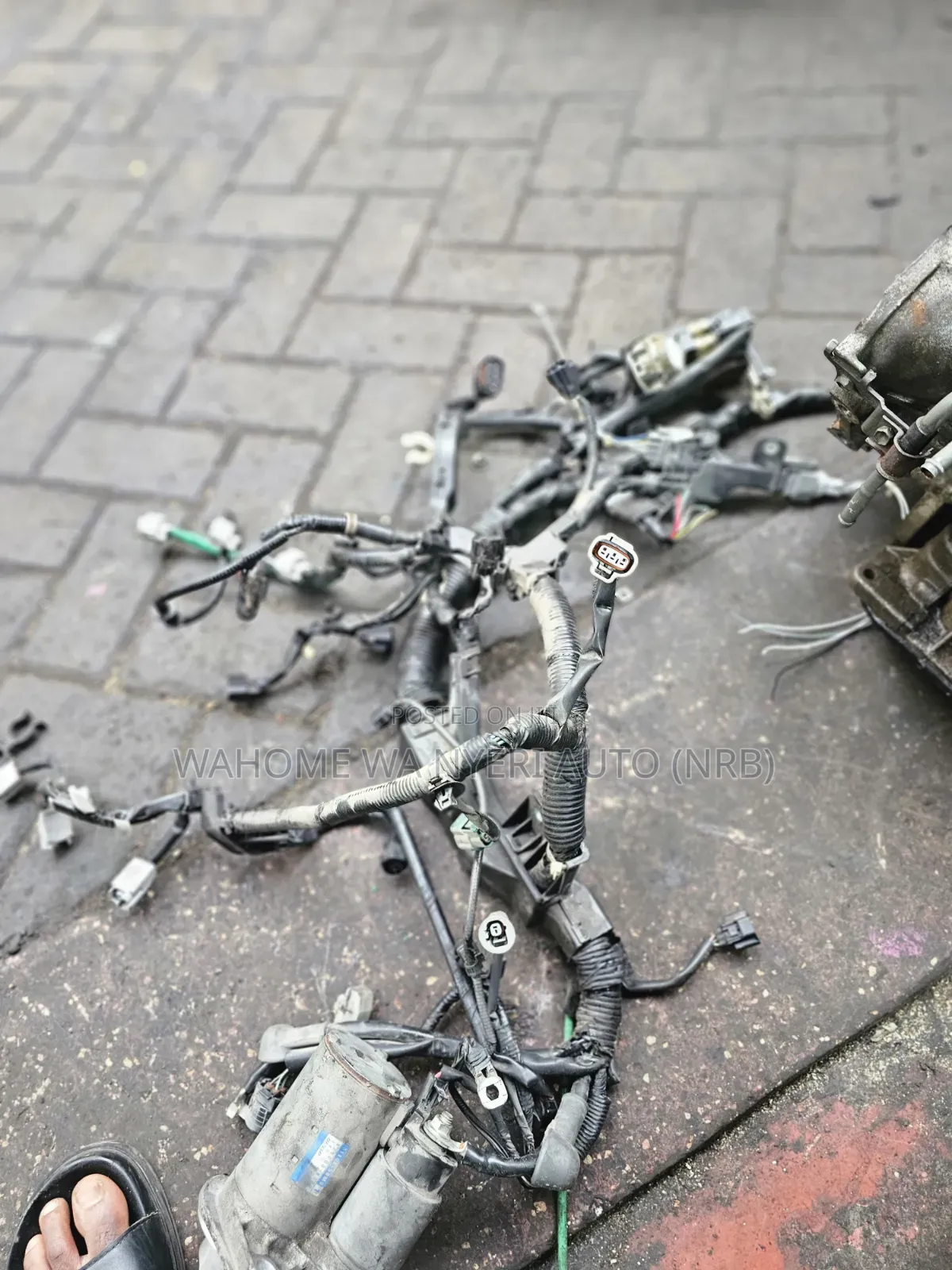 Harness R06a Alto Old Model