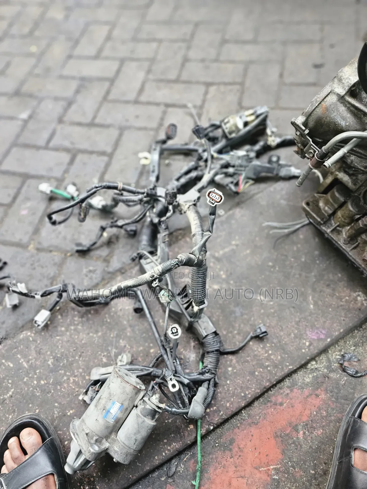 Harness R06a Alto Old Model