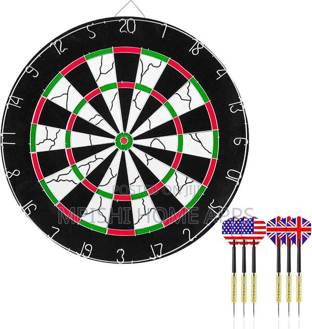 Professional Dart Board