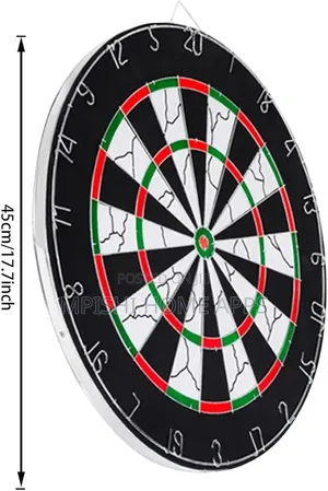 Professional Dart Board