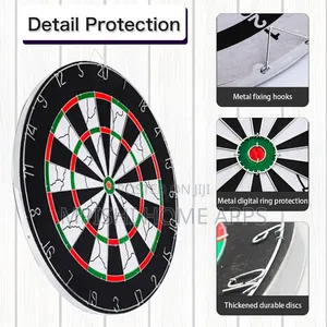 Professional Dart Board
