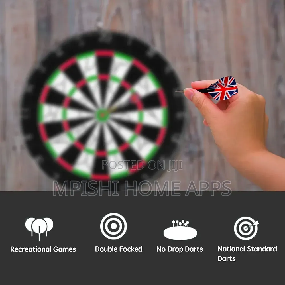 Professional Dart Board