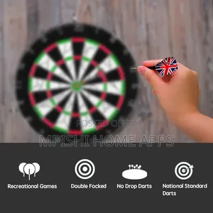 Professional Dart Board