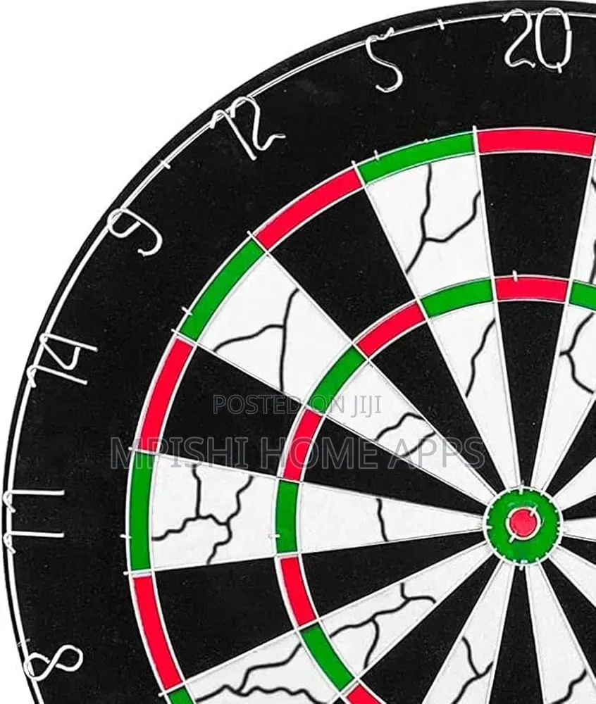 Professional Dart Board