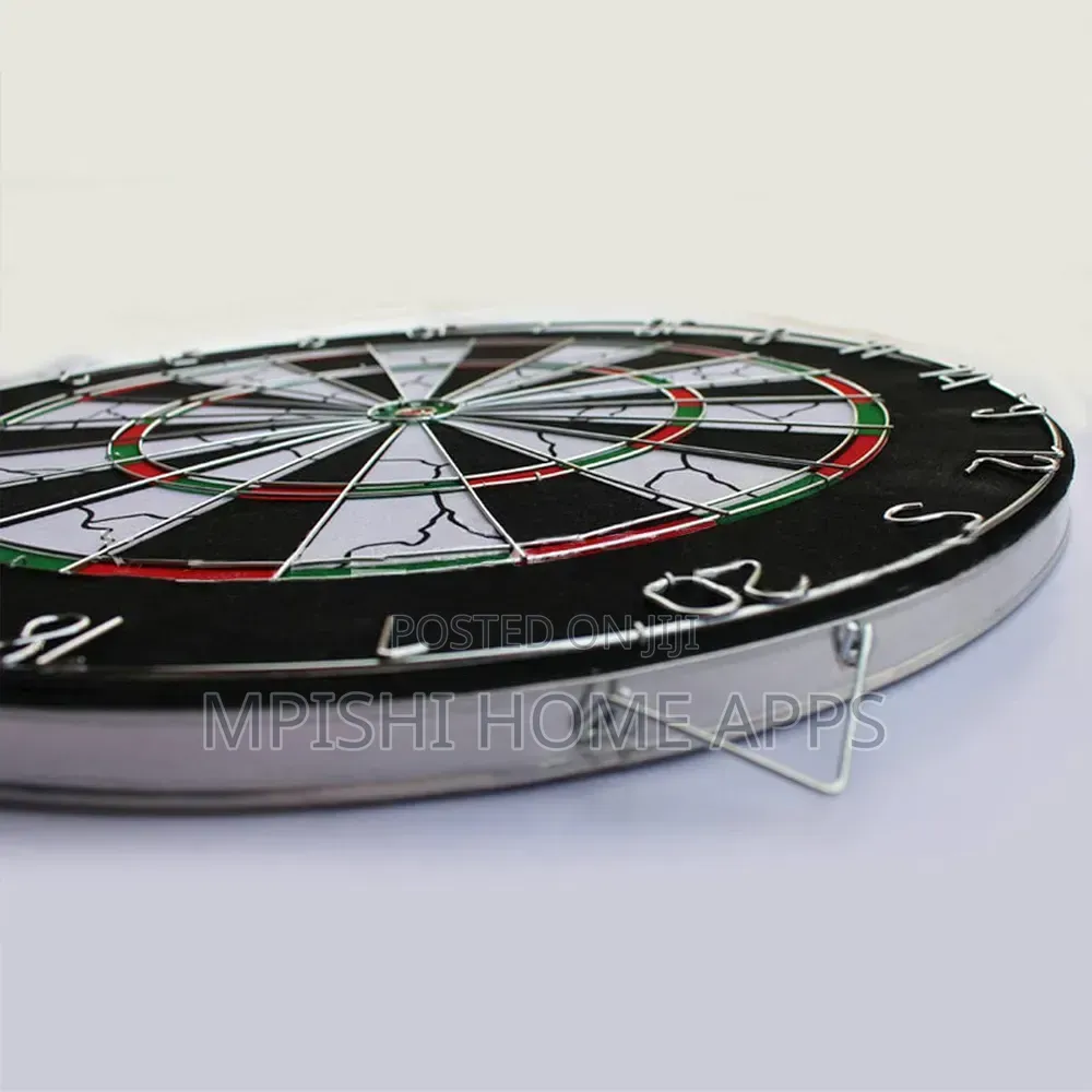 Professional Dart Board