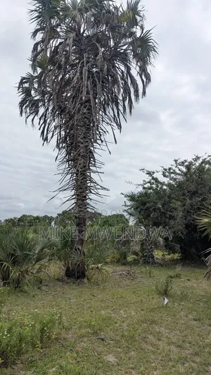 Land and Plots