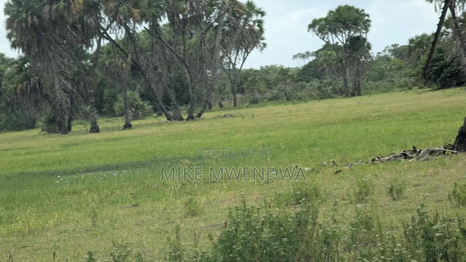 Land and Plots