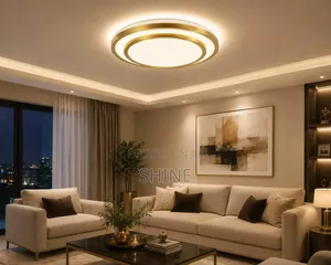 Double Layered Modern Ceiling Light