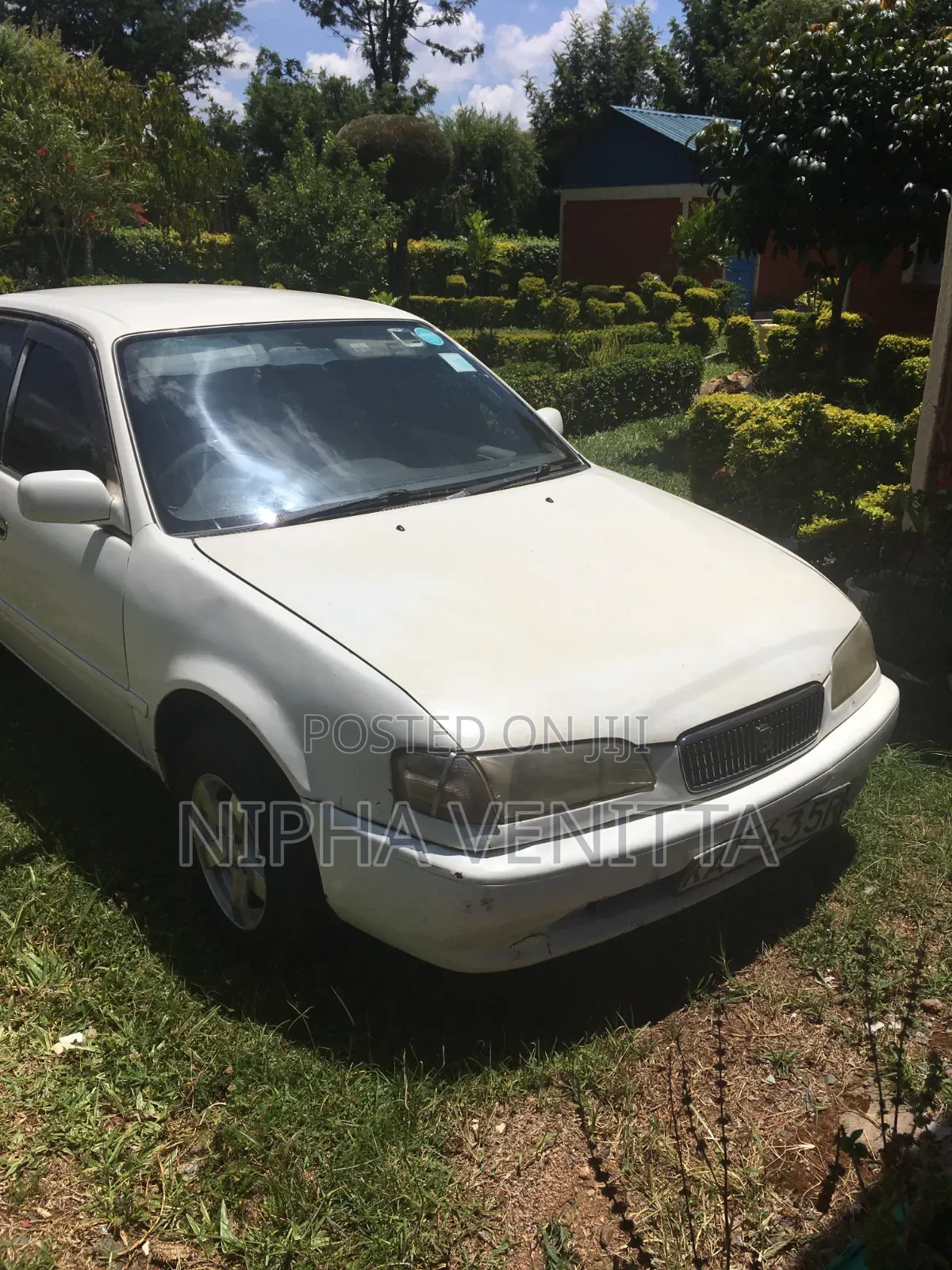 Toyota Sprinter 1999 White