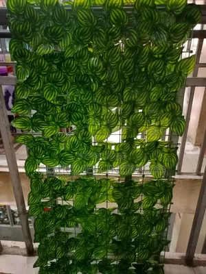 Create a Lush-Looking Balcony With Privacy Fence With Watermelon Leave