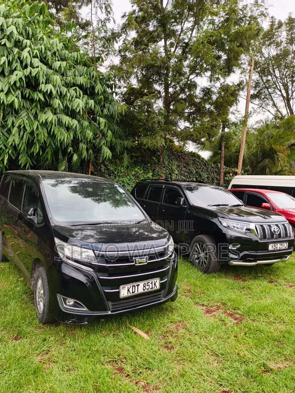 7 Seater Van for Hire
