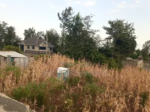 Prime Residential Plot Ruiru Murera Magomano