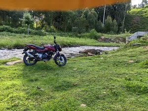 Bajaj Pulsar 180 2009 Red