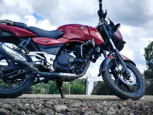 Bajaj Pulsar 180 2009 Red