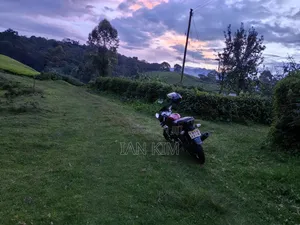 Bajaj Pulsar 180 2009 Red