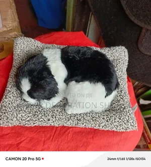 Black-White Realistic Sleeping Plush Dashboard Puppy