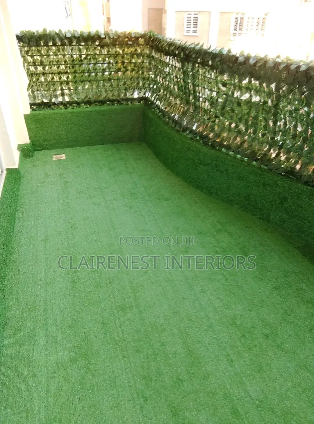 Green Privacy for Gardens, Patios and Balconies