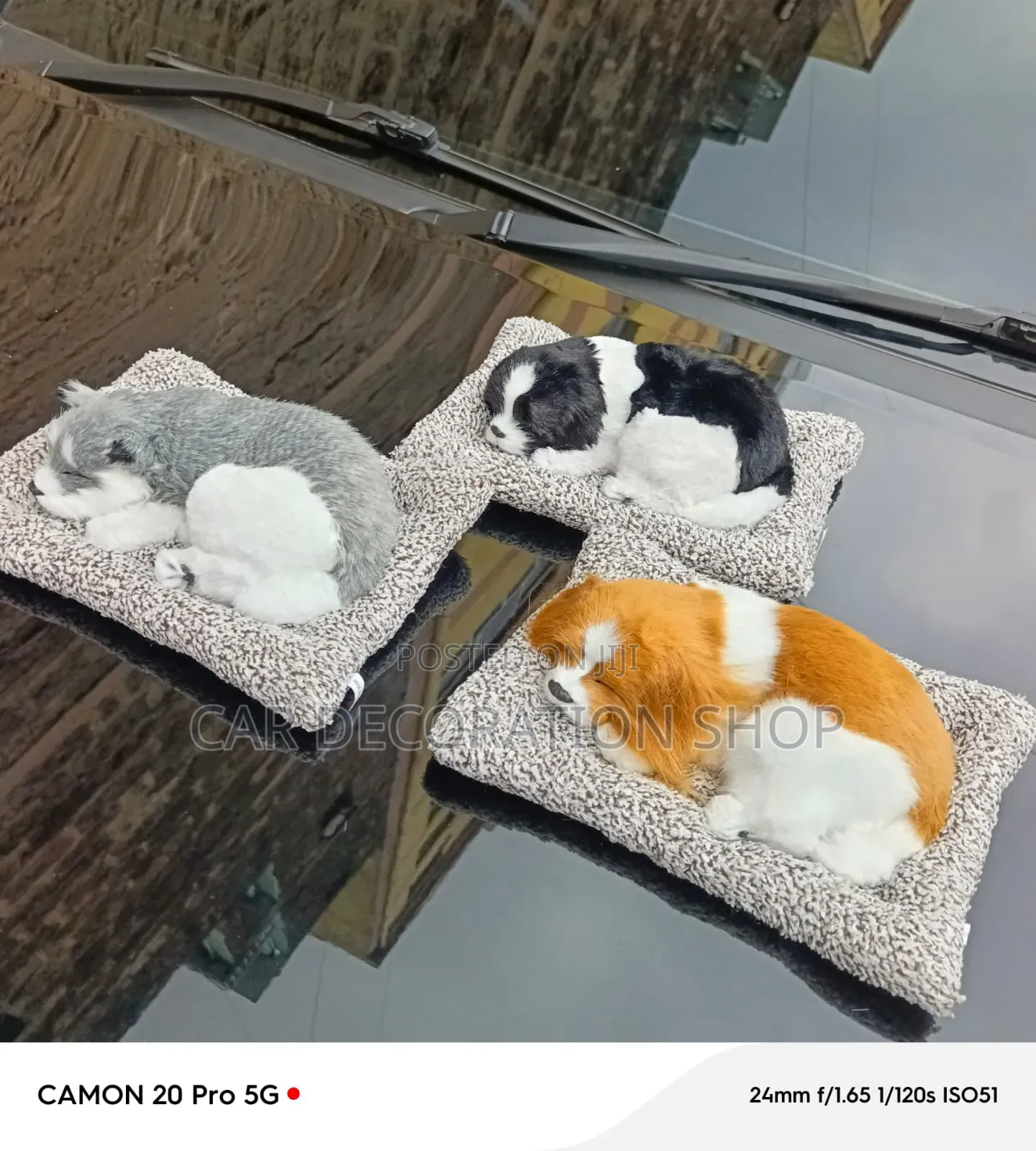 Decorative Dashboard Ornament Resting Puppies in Colors