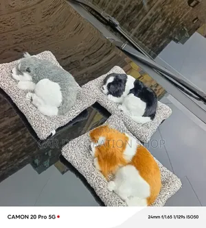 Decorative Dashboard Ornament Resting Puppies in Colors