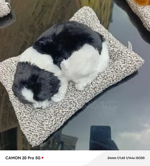 Car Dashboard Toy Sleeping Dog Stuffed Toy