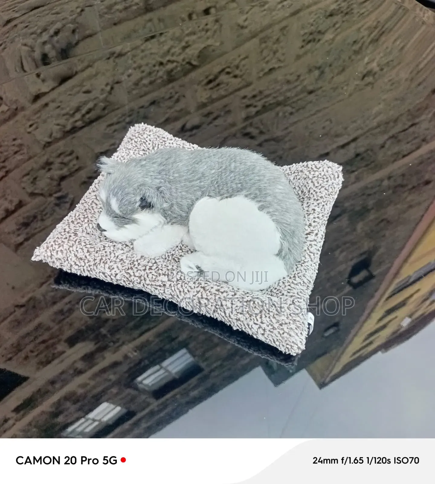 Sleeping Cute Dog/Puppy Toy Resting on Textured Cushion Mat