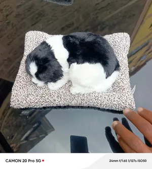Sleeping Cute Dog/Puppy Toy Resting on Textured Cushion Mat