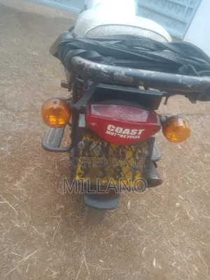 Bajaj Boxer 2019 White