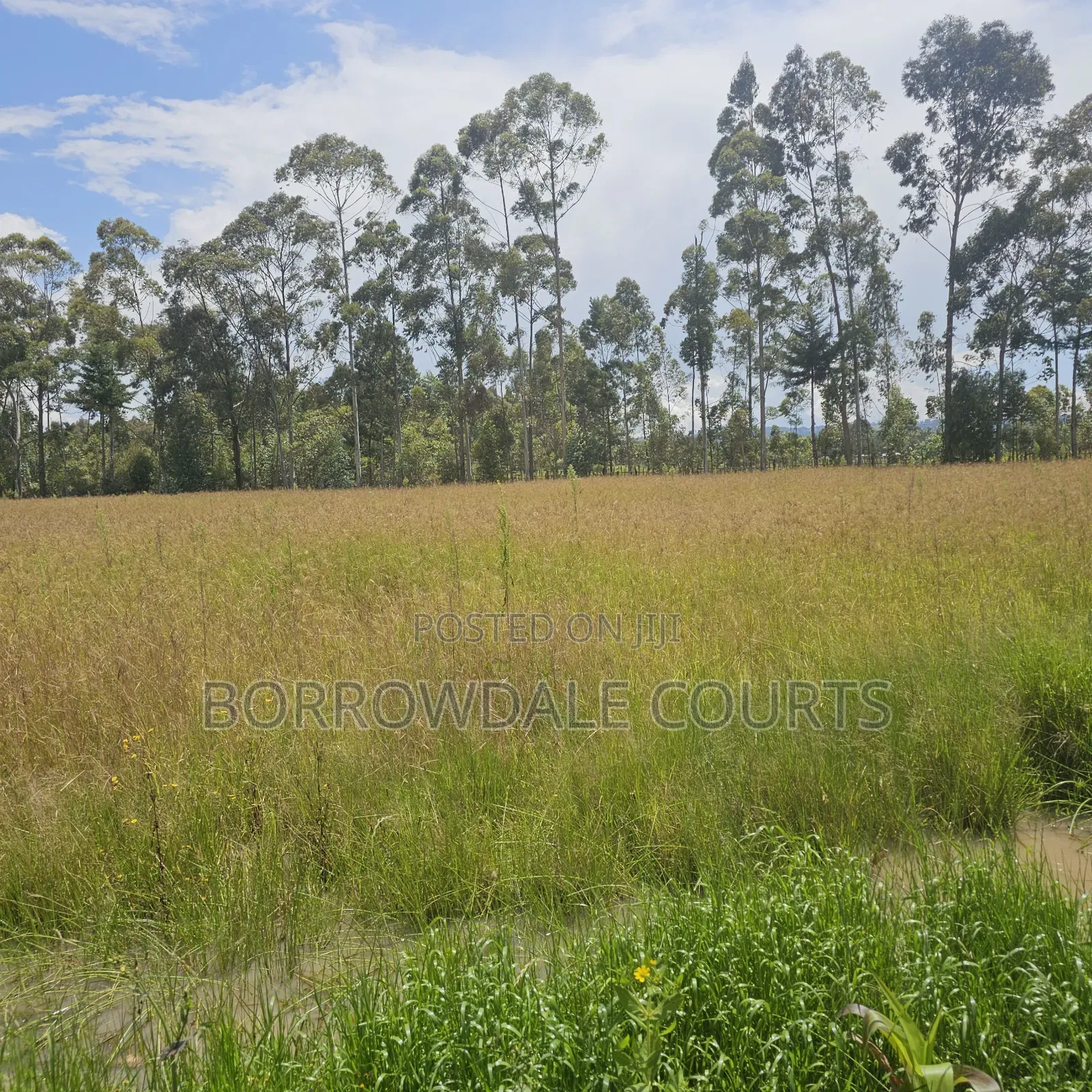 500 Litres Per Day Farm for Sale