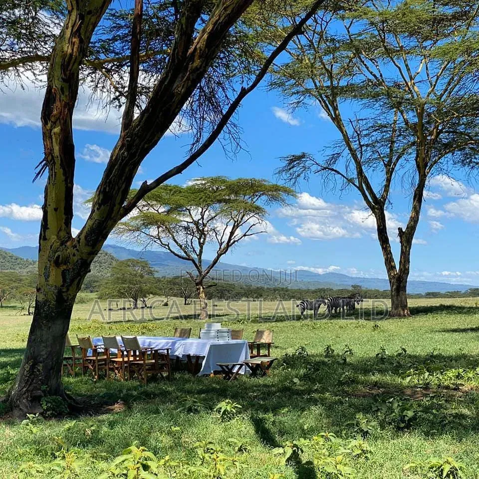 HOTEL 1,200 ACRES Available For