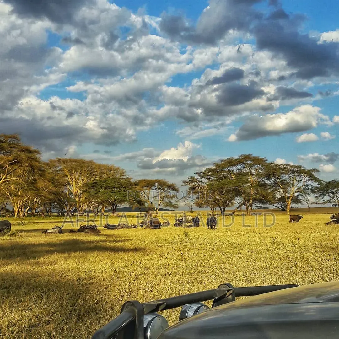 HOTEL 1,200 ACRES Available For