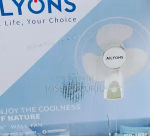 16 Inch Powerful Wall Fan