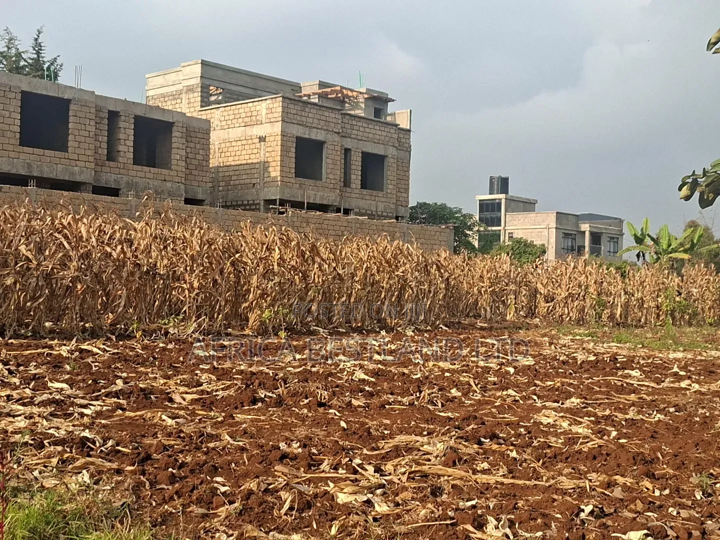 100x100 Available Plot for Sale in Kikuyu Thogoto