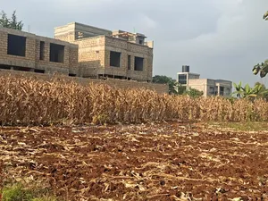 100x100 Available Plot for Sale in Kikuyu Thogoto