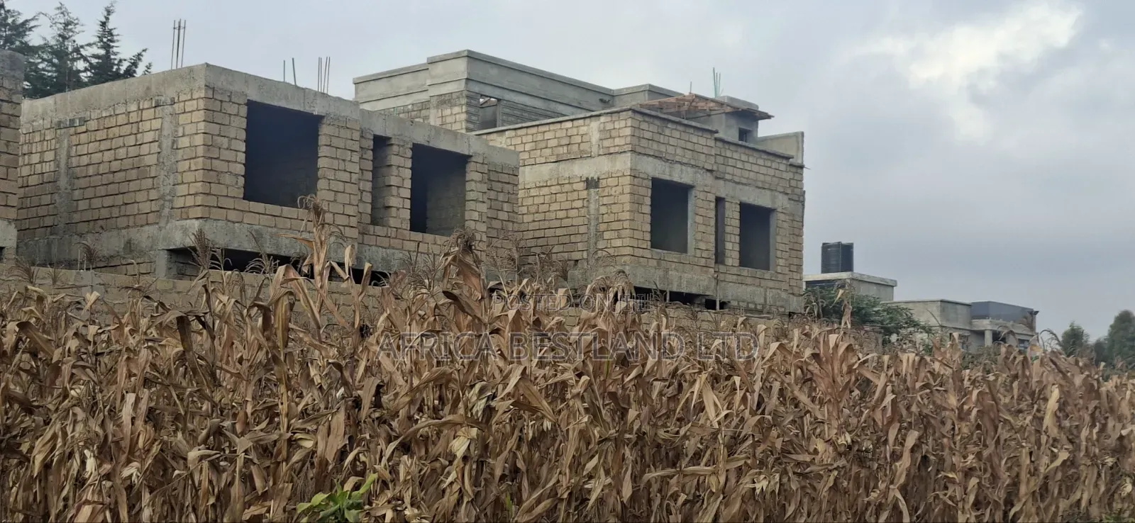 100x100 Available Plot for Sale in Kikuyu Thogoto