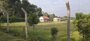 1 Acre Prime Land for Lease – Kikuyu Thogoto