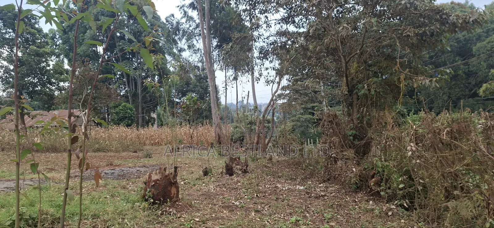 Sale – Kikuyu Thogoto
 Prime Investment Opportunity | KSH