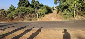  50×100 Plot for Sale – Kikuyu Gikambura