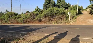  50×100 Plot for Sale – Kikuyu Gikambura