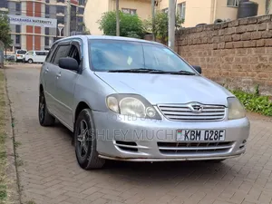 Toyota Corolla Fielder 2008 Silver