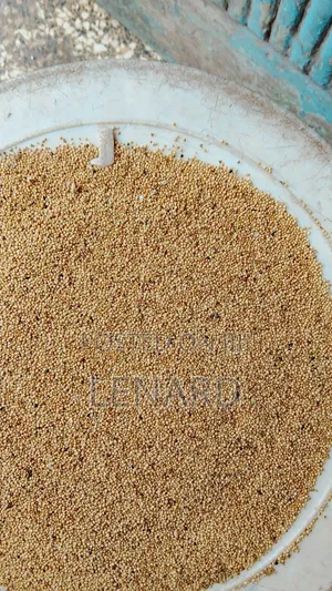 Terere/Amaranth