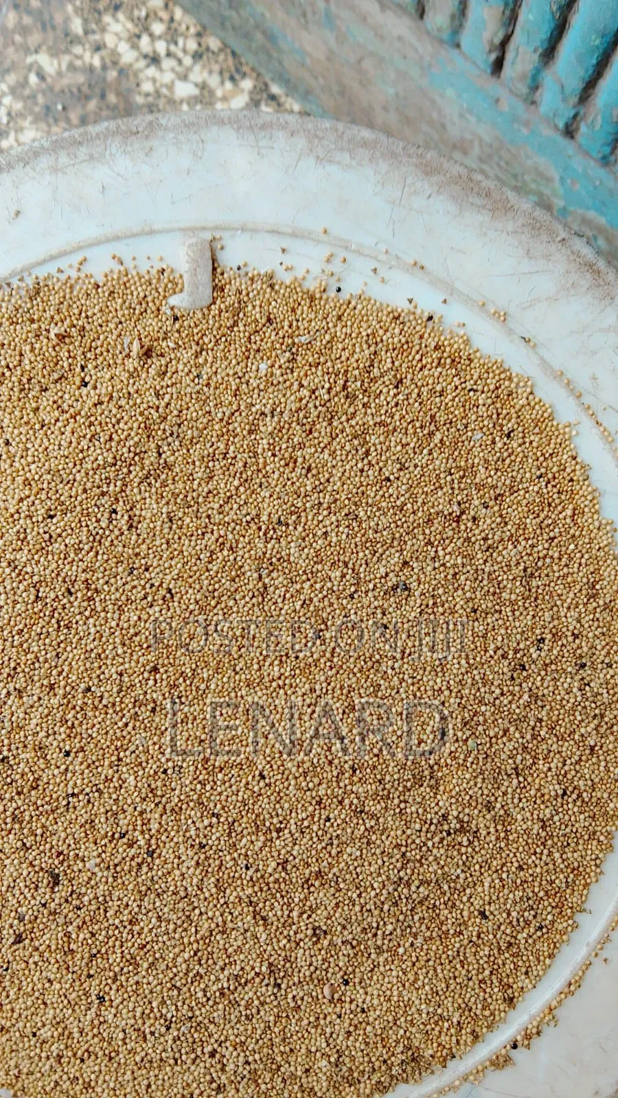 Terere/Amaranth