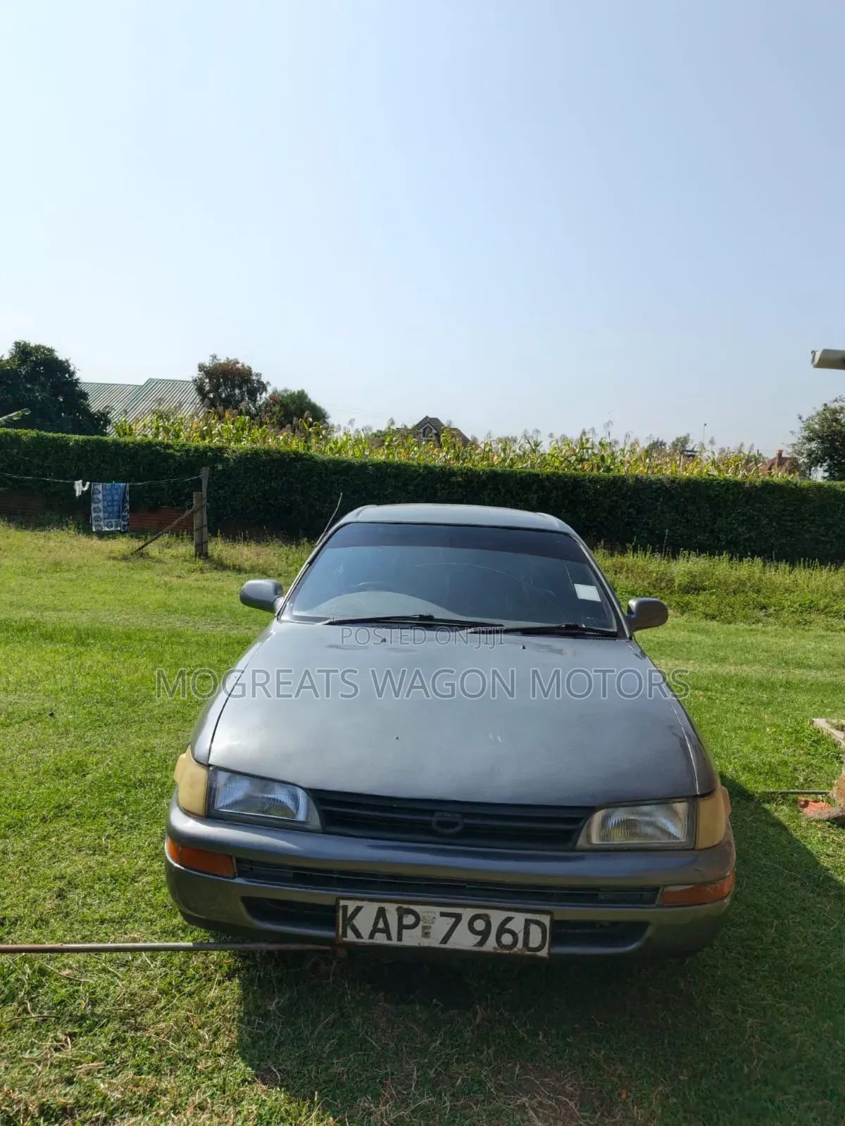 Toyota Corolla 1997 Gray
