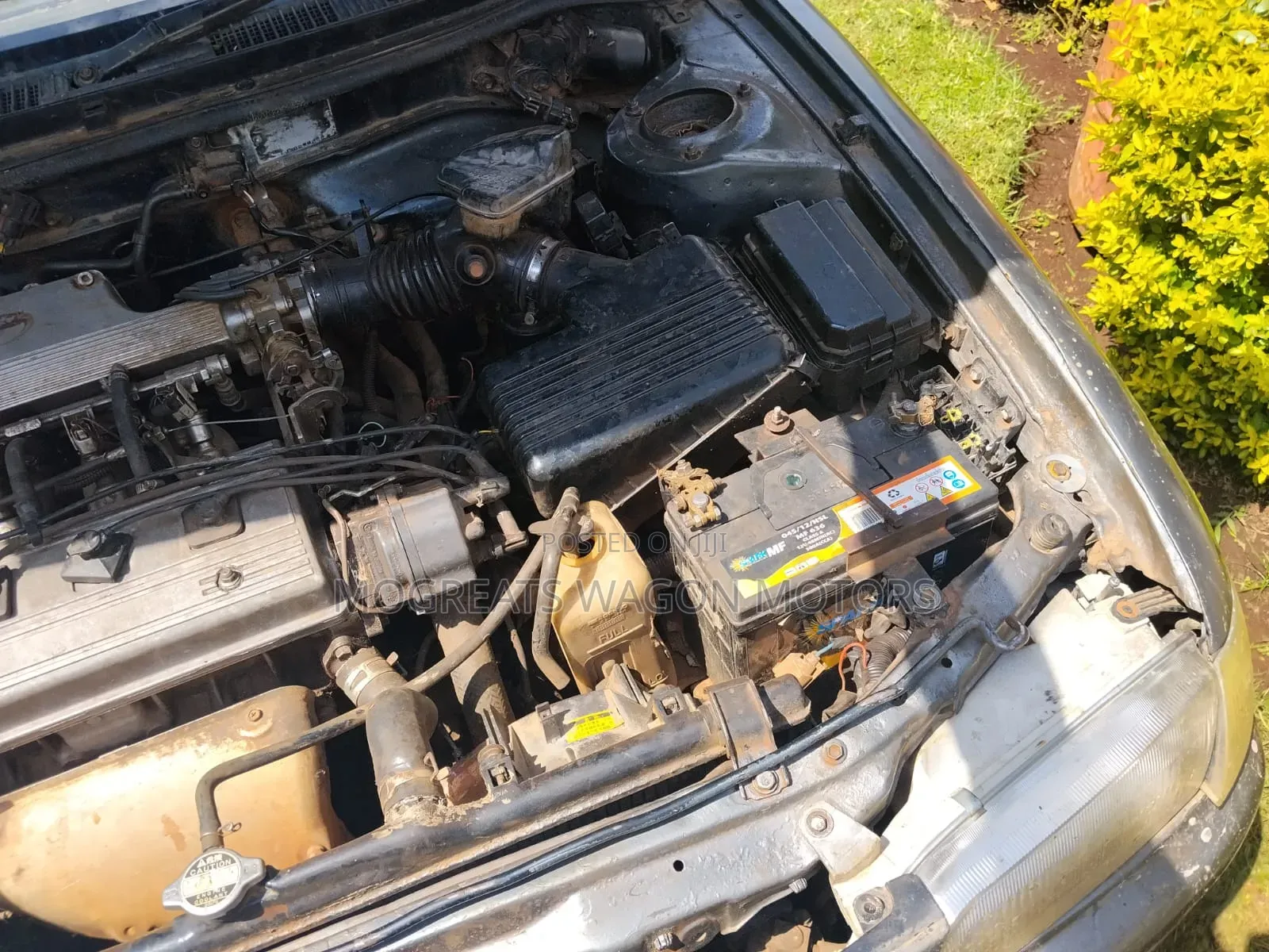 Toyota Corolla 1997 Gray