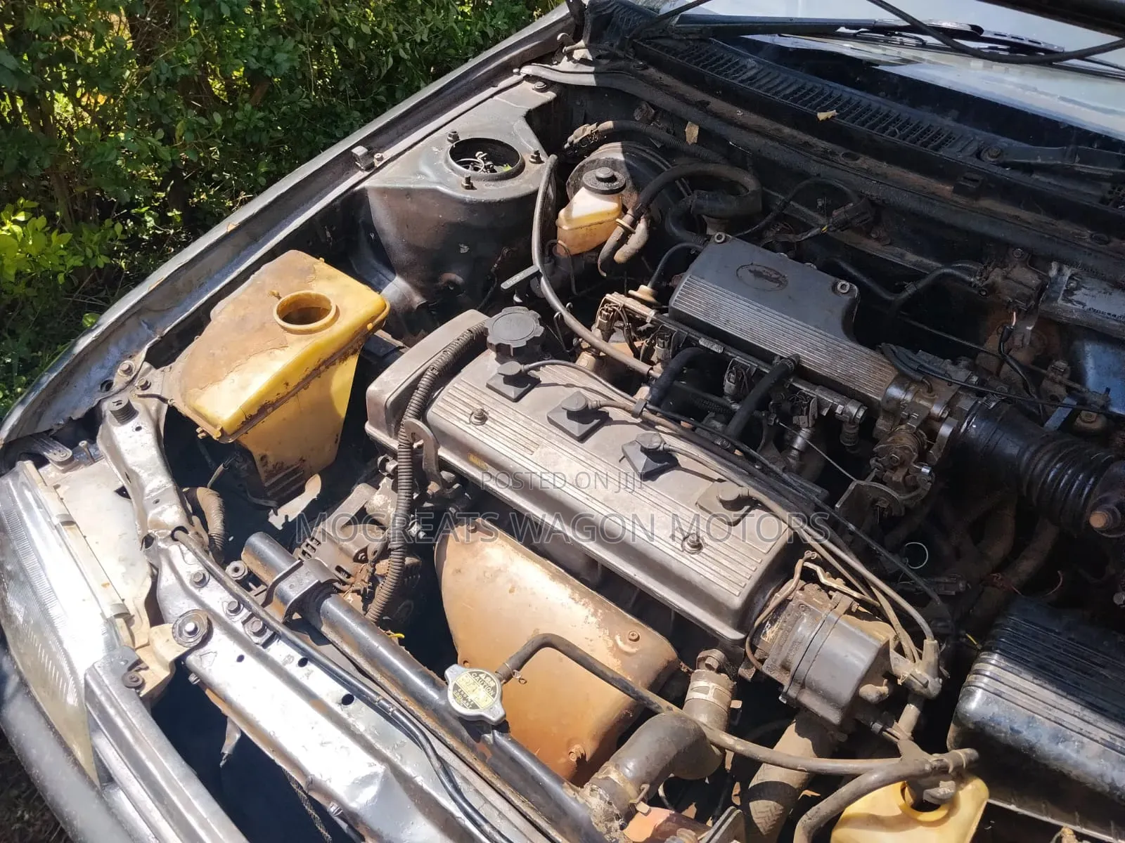 Toyota Corolla 1997 Gray