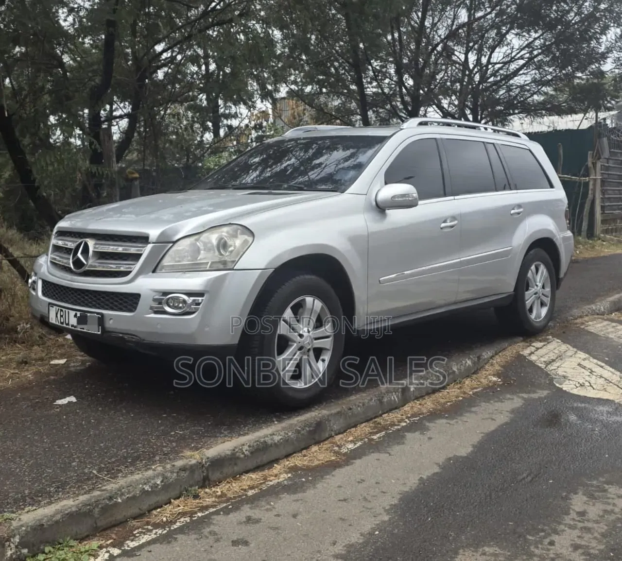 Mercedes-Benz GL-Class GL 320 BlueTEC 2009 Silver