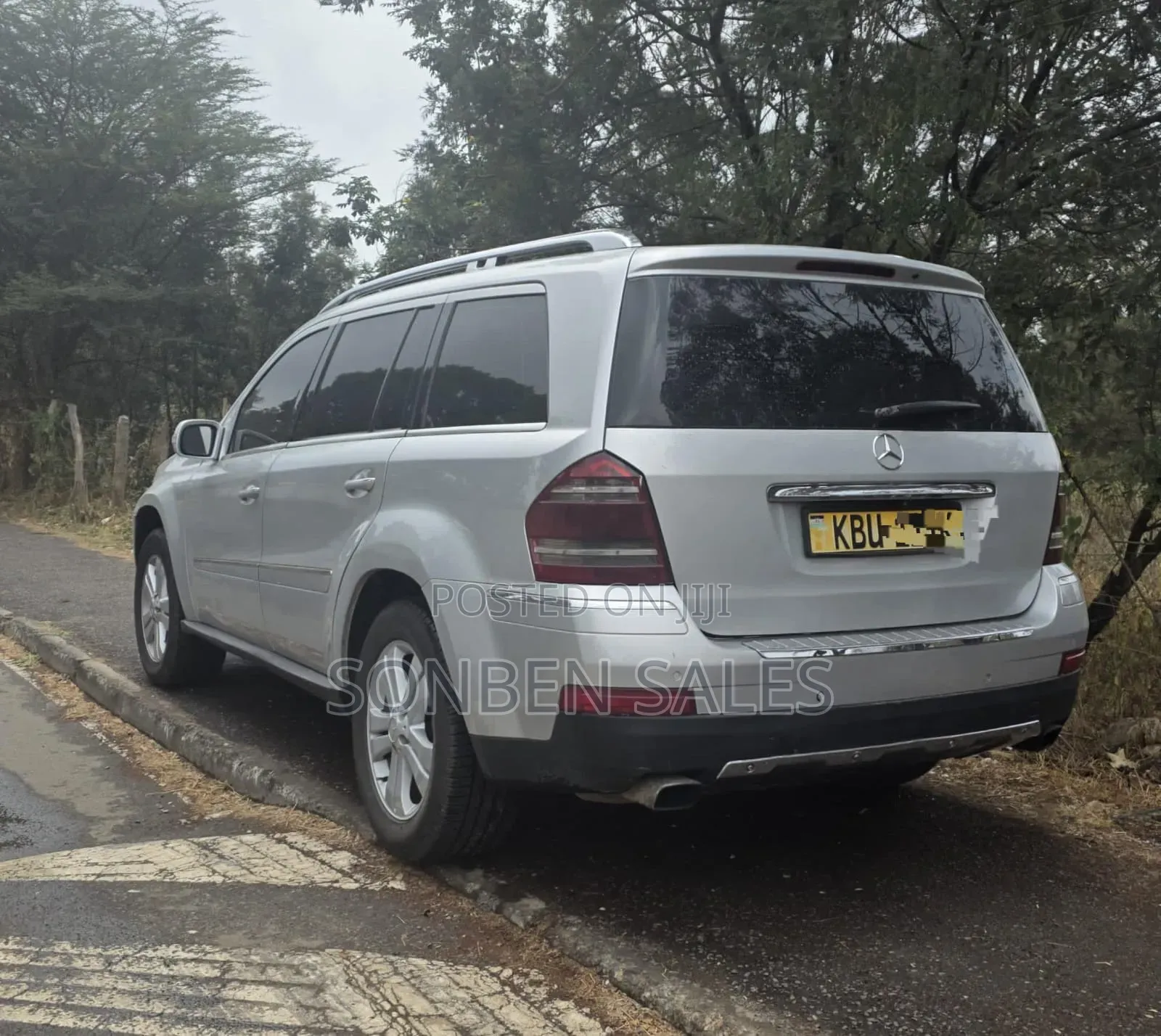 Mercedes-Benz GL-Class GL 320 BlueTEC 2009 Silver
